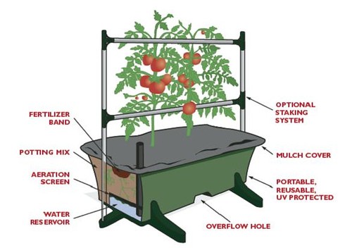 EarthBox Kit